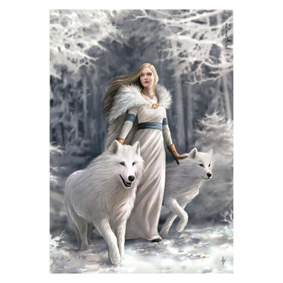 Puzzle Clementoni Anne Stokes guardiani invernali - 1000 pz.