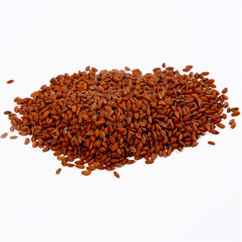 Creativ company cress seeds, 30 gr 1 bag