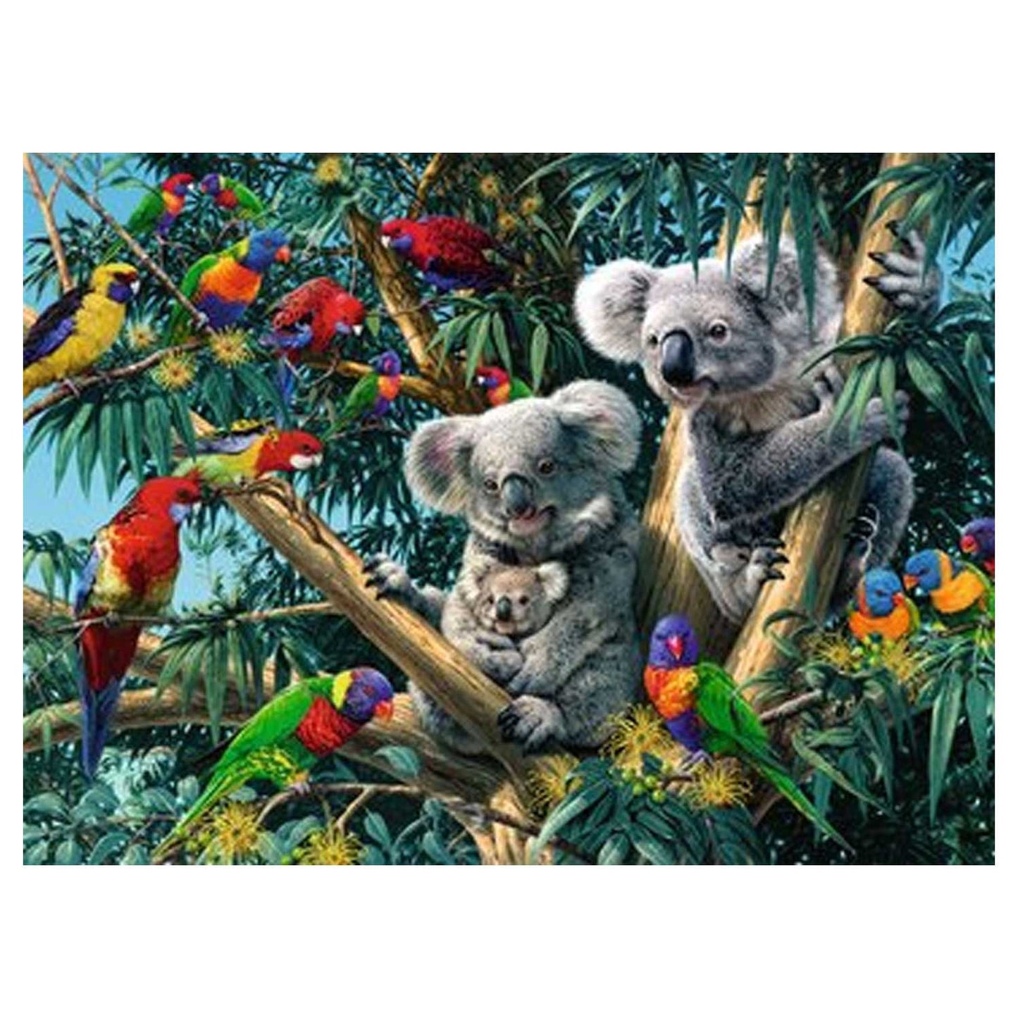 RAVENSBURGER - Koala nell'albero 500st.