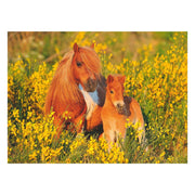 Ravensburger Shetlandpony's, 100st. XXL - afbeelding 2