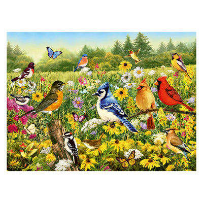 Ravensburger Birds en el rompecabezas de la pierna del prado, 500 °.