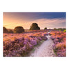 Puzzle Ravensburger percorso rosa - 1000 pezzi.