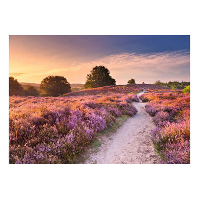 Ravensburger jigsaw puzzle pink pathway - 1000 pcs.