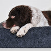 Bia Bed Fleece Poes Hondmand Gray