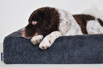 Bia Bed Fleece Poes Hondmand Gray