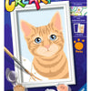 Ravensburger creart schilderen op nummer rode kater