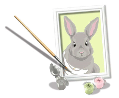 Ravensburger Pintura Ciora en número Grey Rabbit