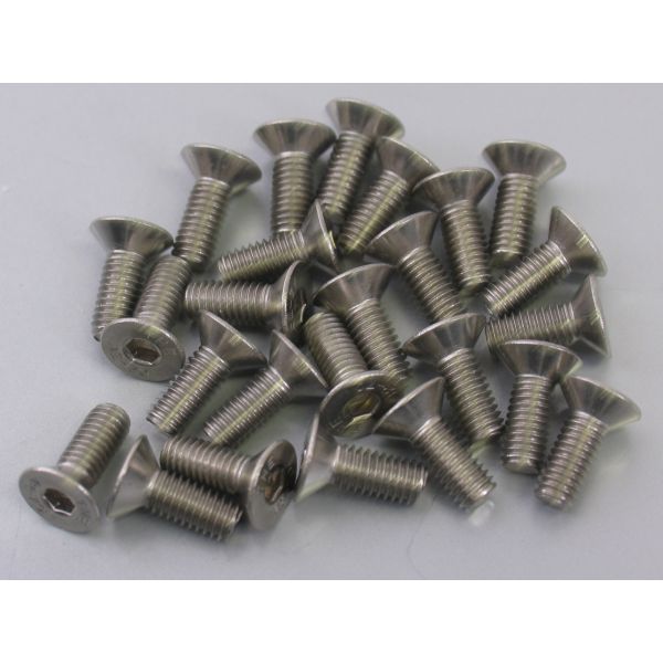 Bofix Allenbout M6X16 Acero inoxidable con cabeza hundida (25 piezas)