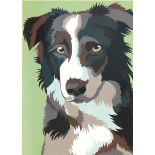 Nassau Nassau Painting on Song Dog