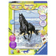 Dipingere con i numeri - Cavallo nel surf