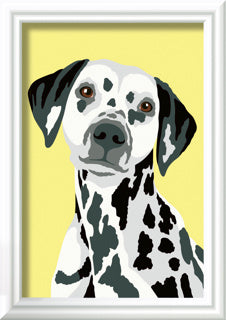 Ravensburger Pintura Ciora en el número Dalmatier