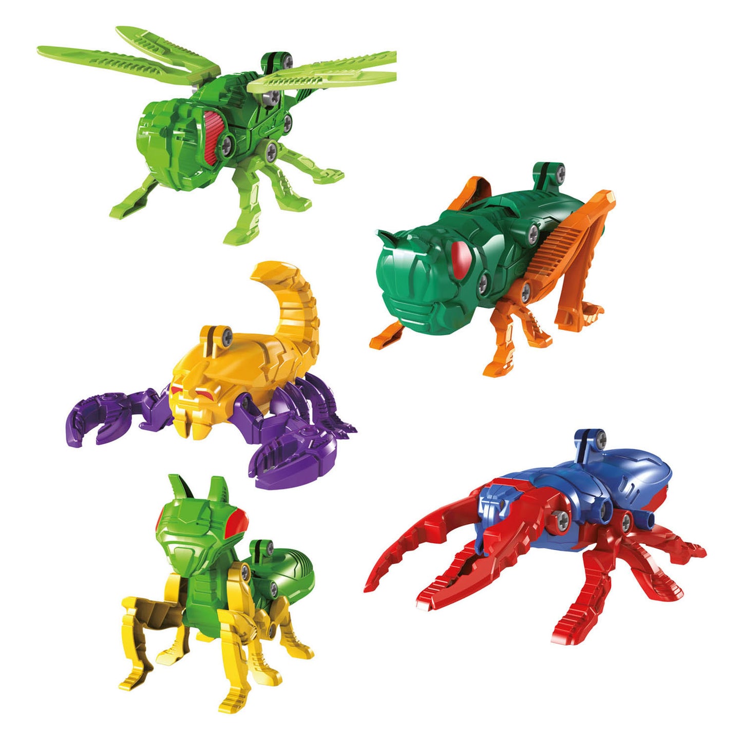 Toi-toys insecto 3D montable - 5 en 1