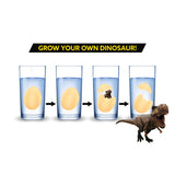 TOI TOYS Growth-hegg Dinosaurus - afbeelding 3