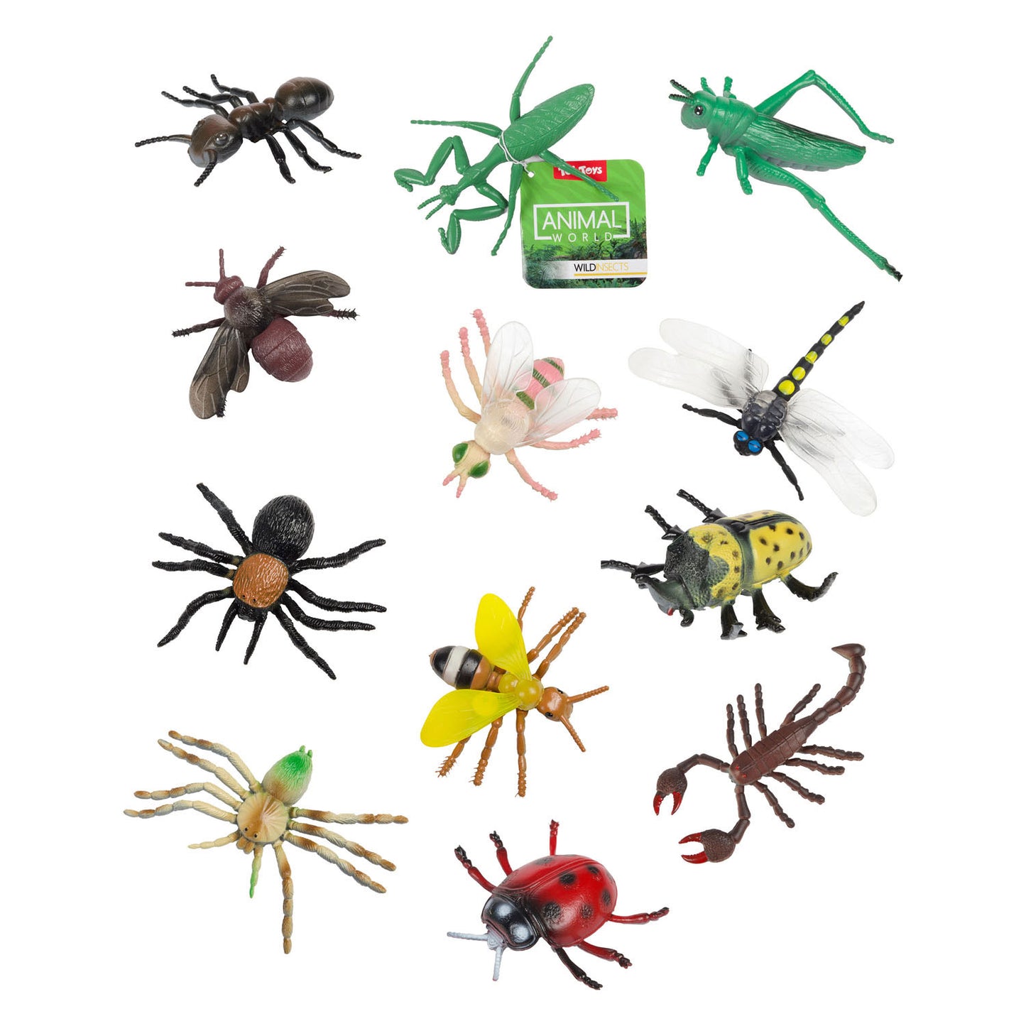 Toi-toys Animal World Great Curse Insect