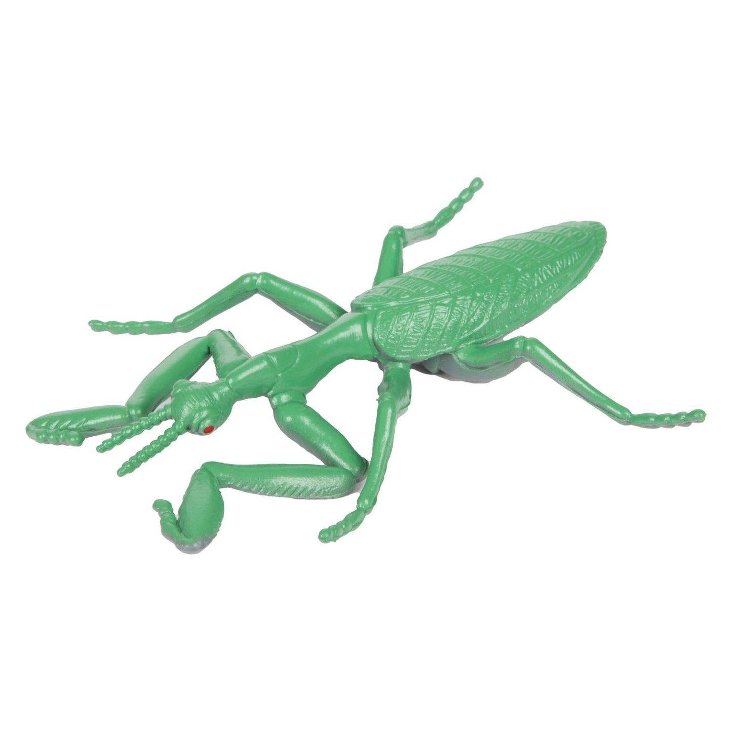 Toi-toys Animal World Great Curse Insect