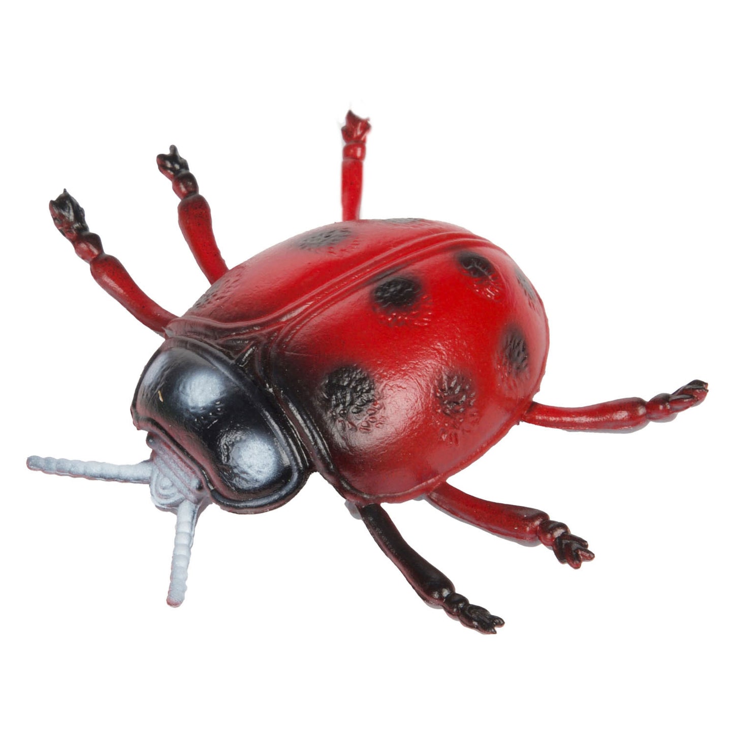 Toi-toys Animal World Great Curse Insect