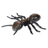 Toi-toys Animal World Great Curse Insect