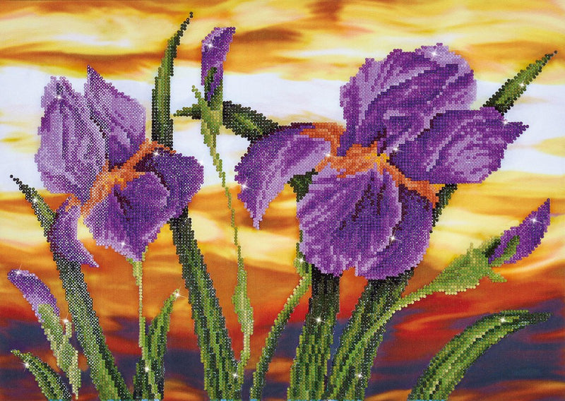Diamond Dotz Iris Flowers haciendo pintura de diamantes diamantes