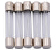 Fusos de vidrio Dresselhaus 6x32mm 10a f. American Fahrz.