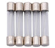 Fusos de vidrio Dresselhaus 6x32mm 30a f. American Fahrz.
