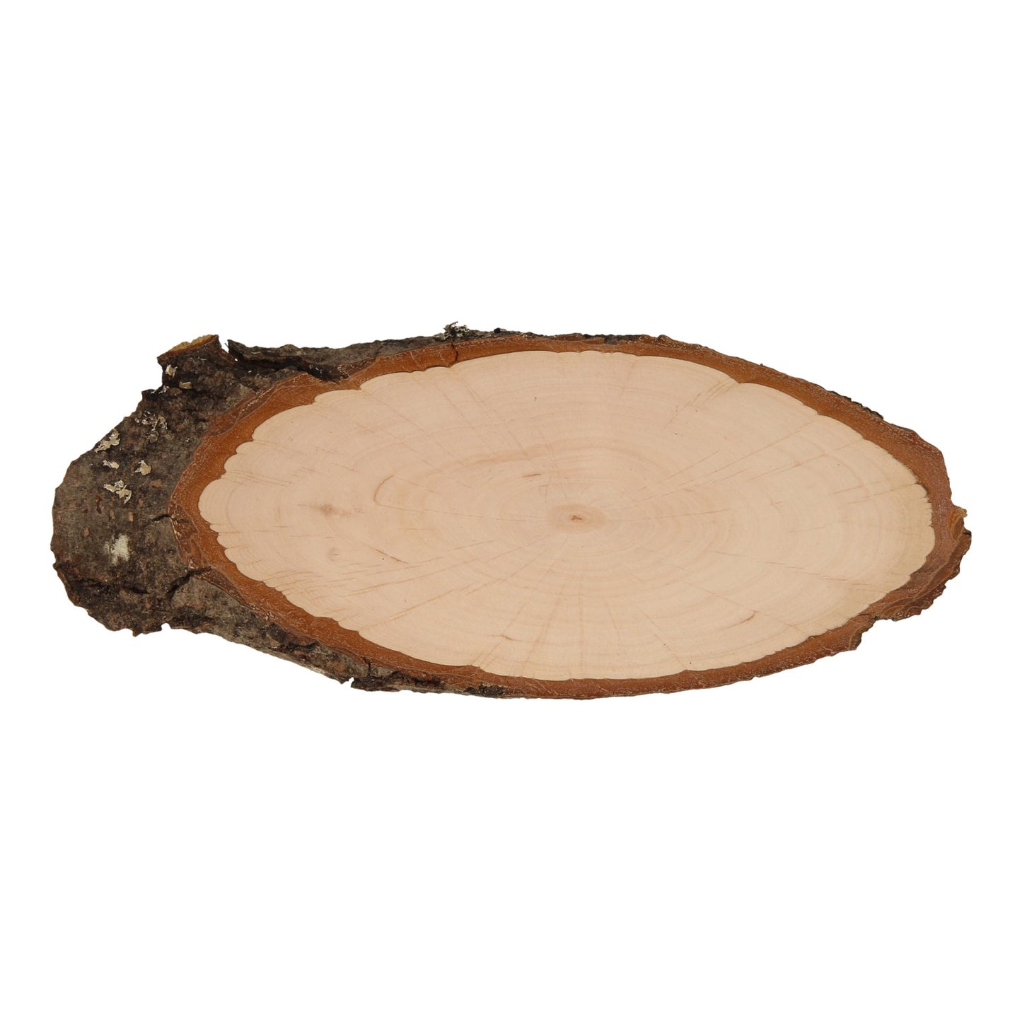 Crea la tua corteccia albero di targhetta, 25 cm