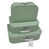 Playwood kartonnen koffer set groen, 3st.