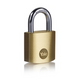 Yale 1065220 - lucchetto 30mm std | 6 pezzi