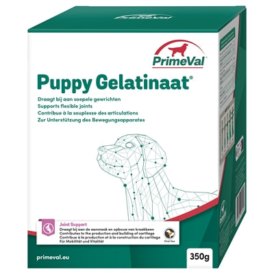 Perro gelatinado primitivo