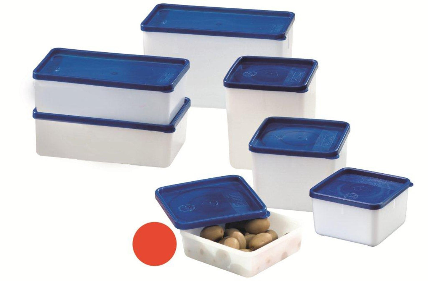 Contenitore congelatore Westmark 4 pezzi 0,25 litri