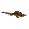 CHARMELEON COMPLETO DEL COLORE