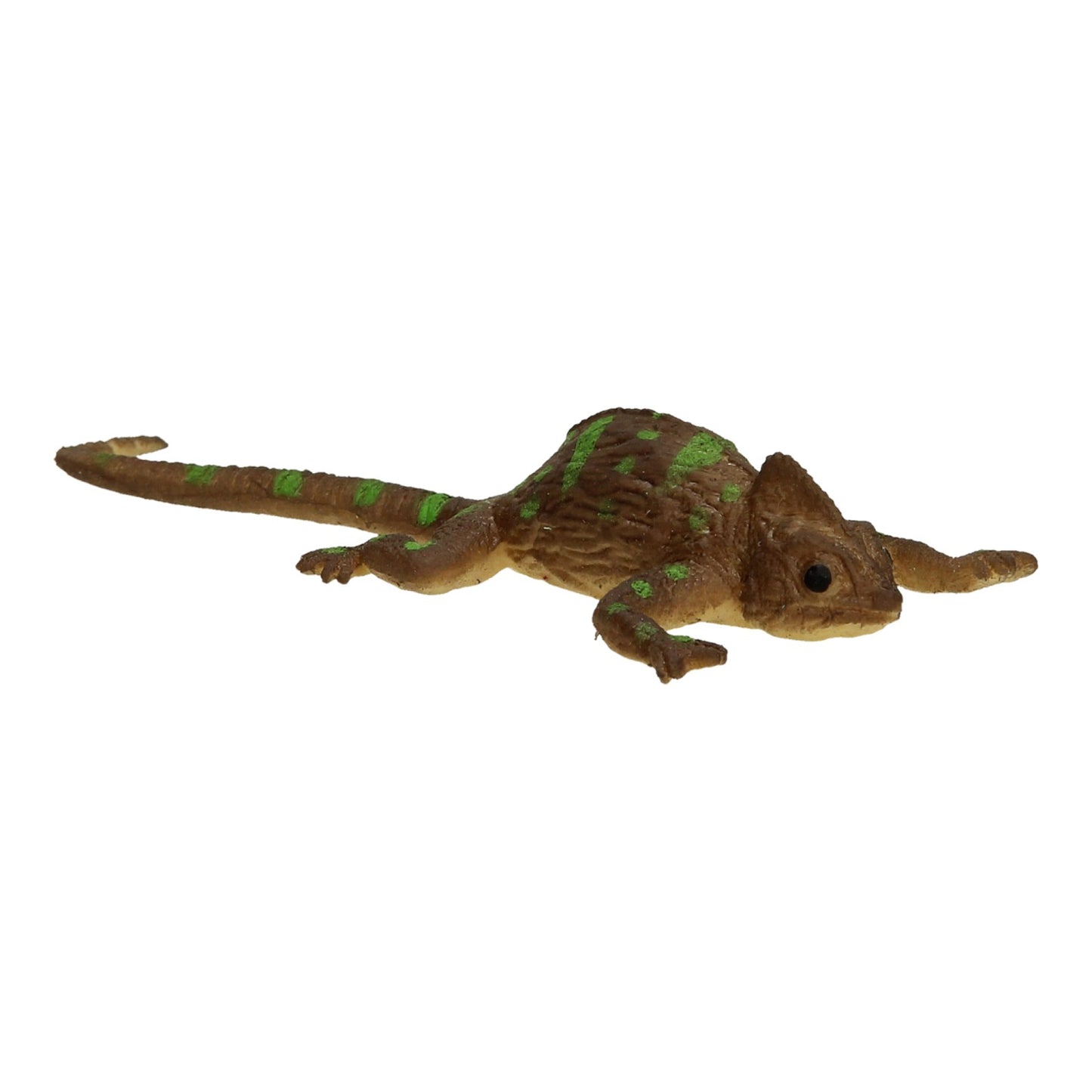 CHARMELEON COMPLETO DEL COLORE