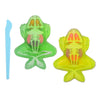 Johntoy Science Explorer Frog Anatomy Mucus