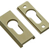 Yale 1019120 - 1 cilindro perfil seguridad pz 9mm aluchamp | 2 piezas