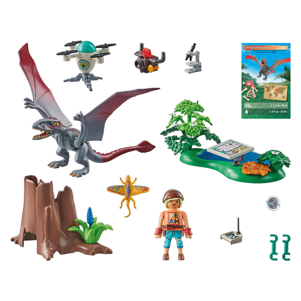 Playmobil Dinos Osservazione Post per Dimorphodon 71525