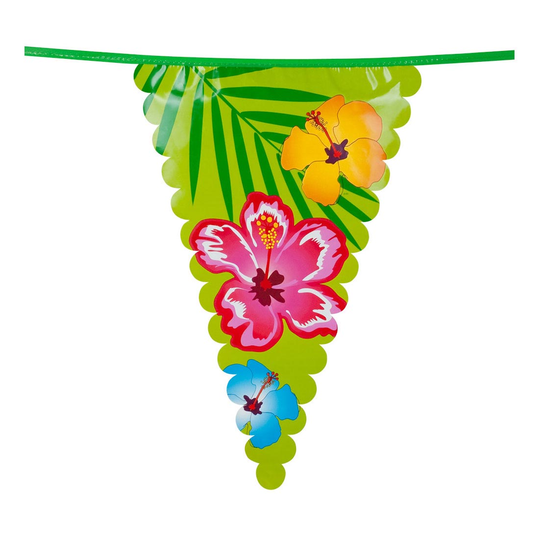 Linea bandiera di Boland Hawaii, 6mtr.