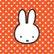 Tovaglioli di miffy, 20 °.