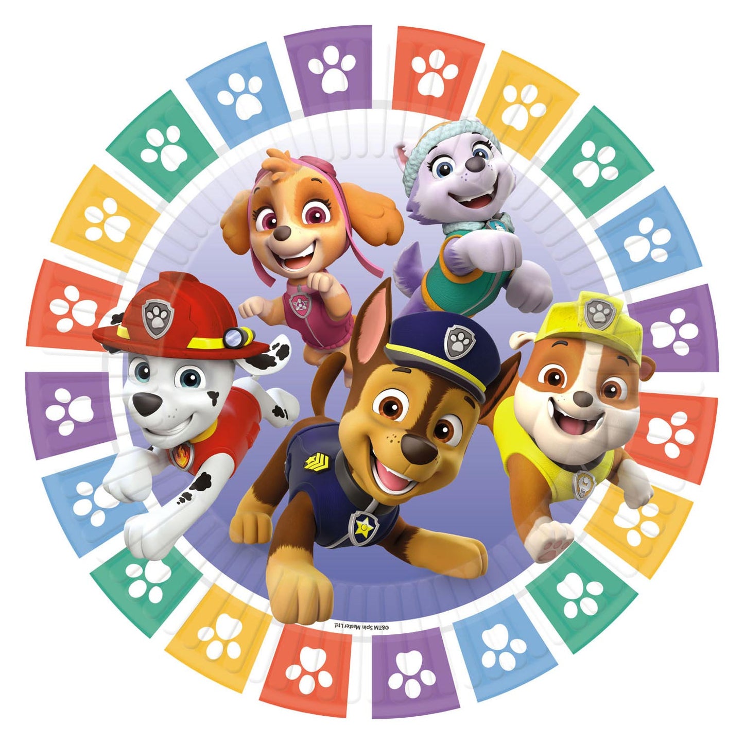 Haza witbaard paw patrol bordjes, 8st.