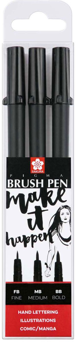 Skura pigma pincel juego de pluma,