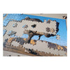 Puzzle de pierna táctica Tyrannosaurus, 200st.