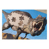 Puzzle de pierna táctica Tyrannosaurus, 200st.