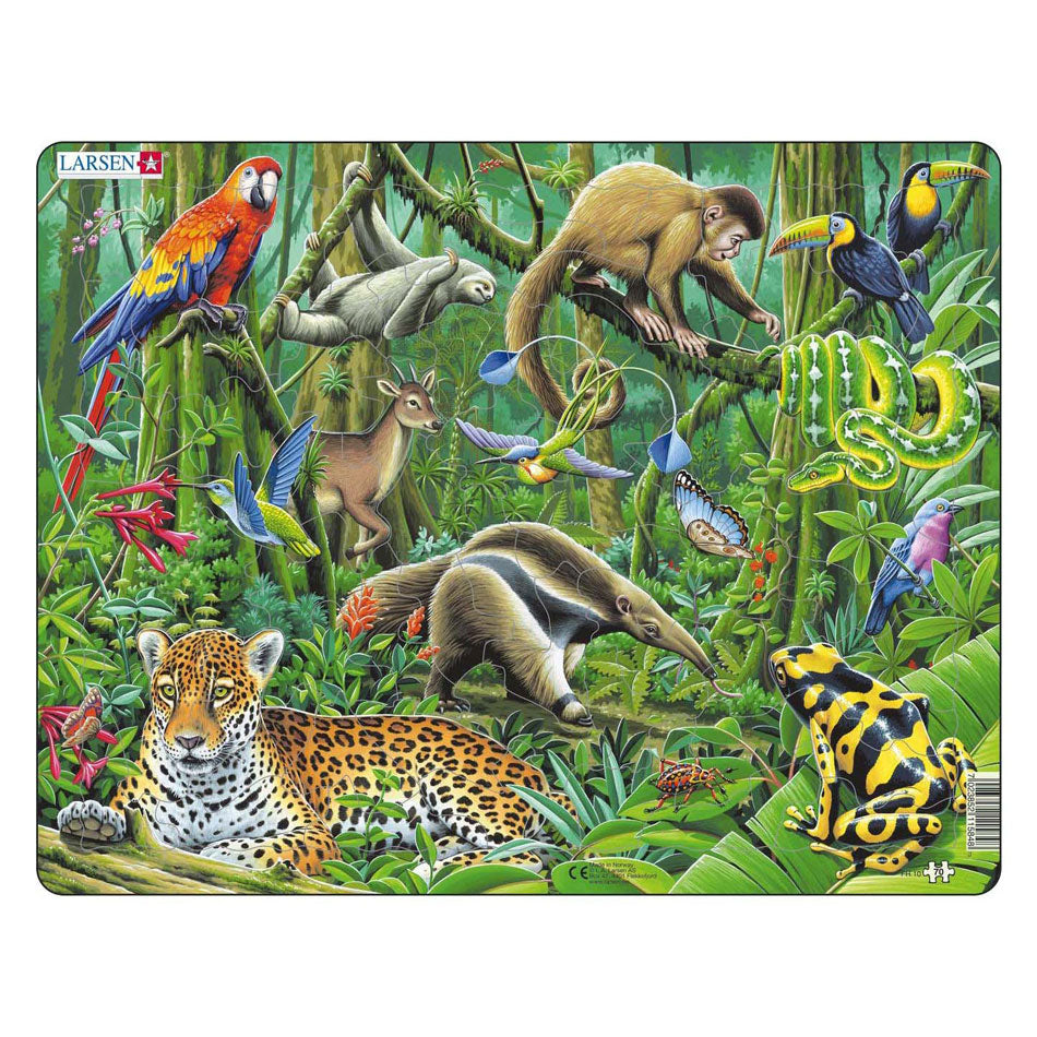 Larsen legpuzzel dieren - zuid amerikaans regenwoud, 70st.