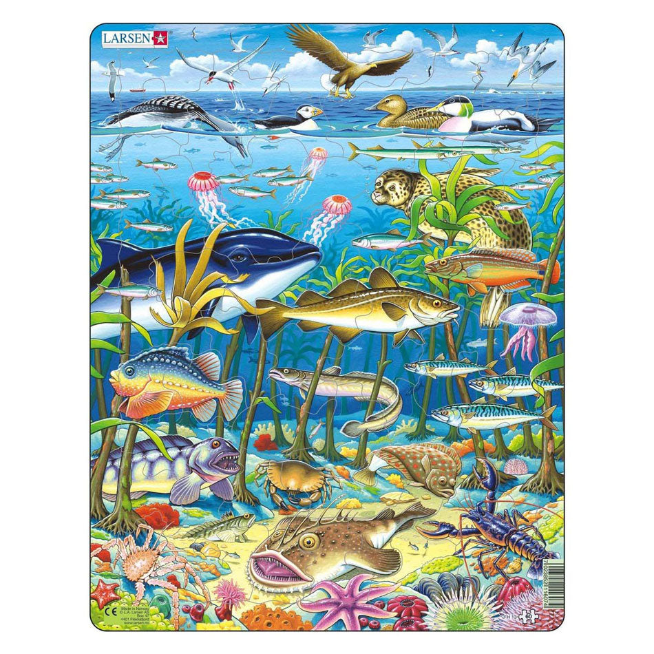 Selecta Larsen Pluzzle Animali - Animali marini nell'Oceano Nord Atlantico, 60 °.