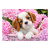 SelectA Castorland puzzle cucciolo puzzle in fiori rosa, 500st.
