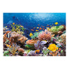 Castorland legpuzzel coral reef fishes, 1000st.