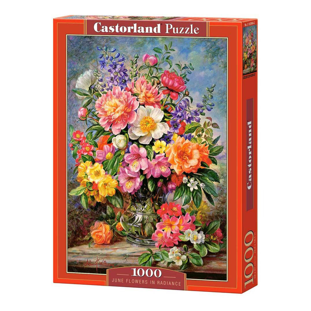 Castorland legpuzzel june flowers in radiance, 1000st.