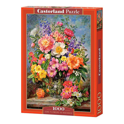 Castorland legpuzzel june flowers in radiance, 1000st.