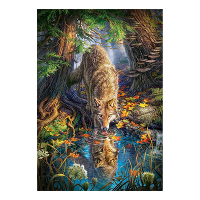 Selecta Castorland Play Puzzle Wolf en la naturaleza, 1500º.