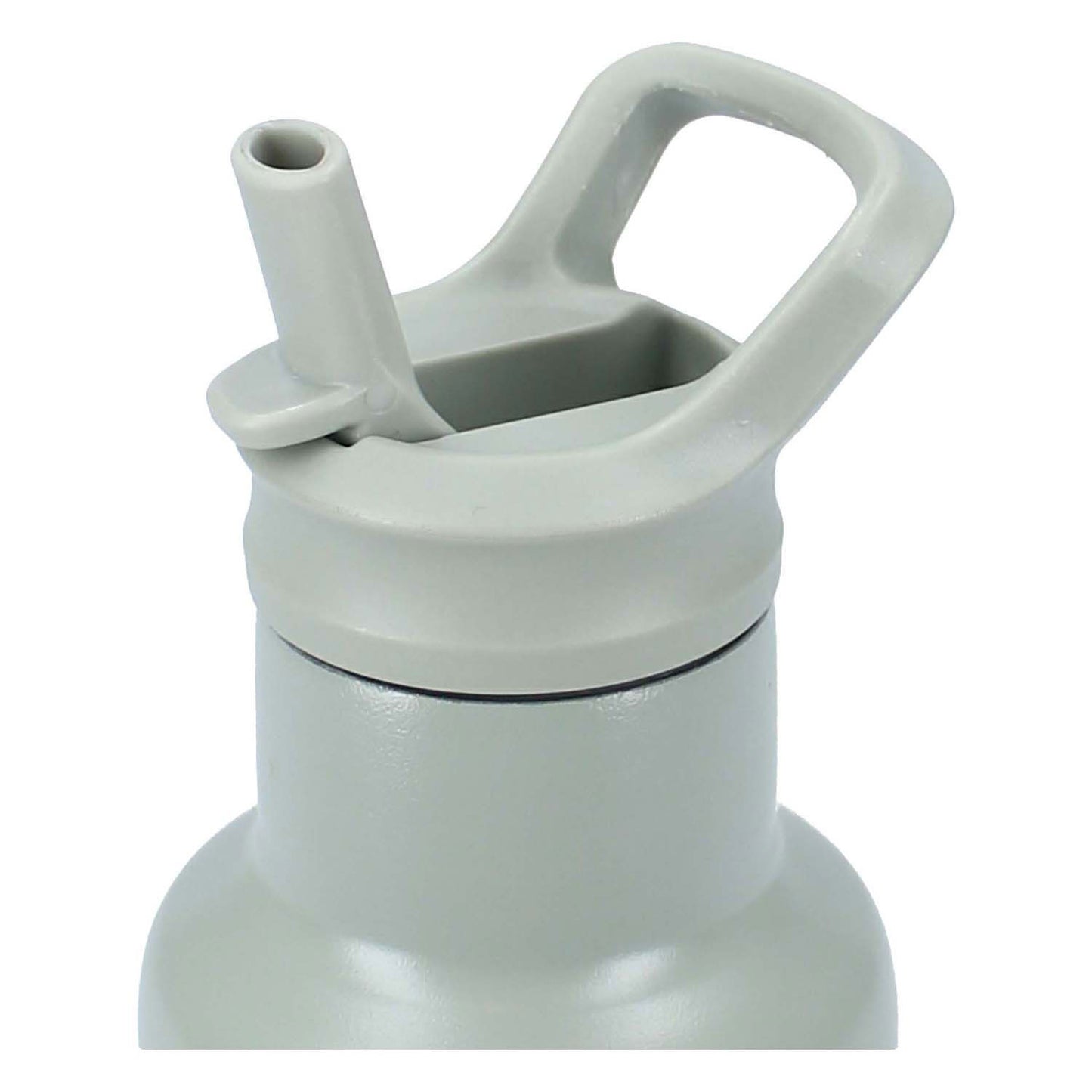 Kidzoom Drinking bottle Sweet Sips Dino, 350ml