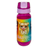Botella de bebida de arco iris encubierta, 450 ml