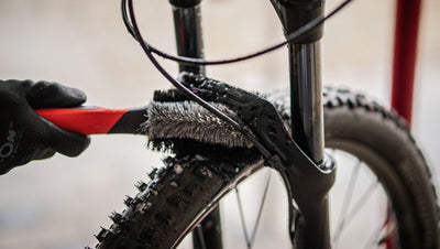 PULIZIONE DEL CAMPO CICLONE CICLONE COMPONENTO B-020